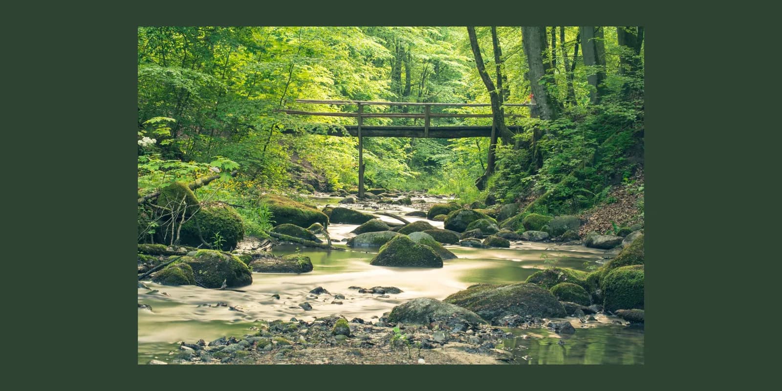 A wooden bridge crosses a stream flowing over moss-covered rocks through a lush green forest, with dappled sunlight illuminating the scene.